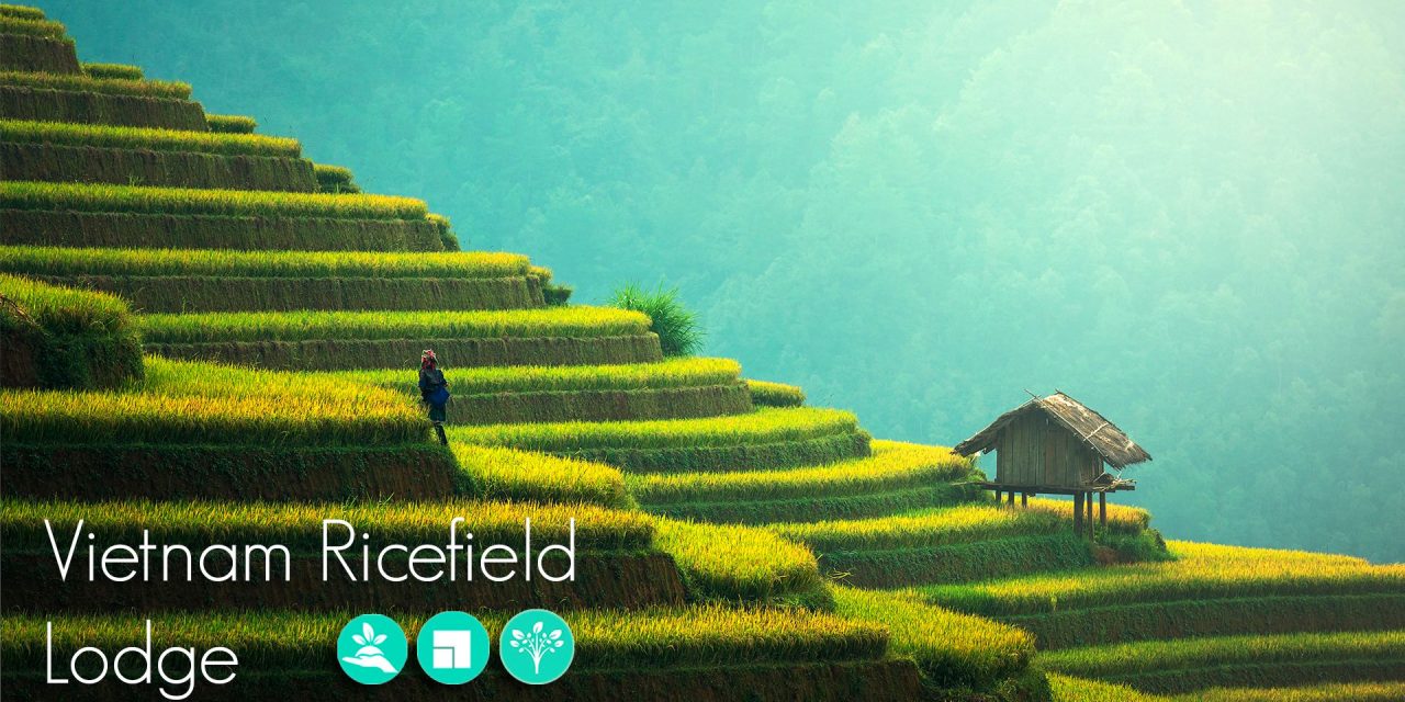 Lanzamiento del concurso internacional Vietnam Ricefield Lodge