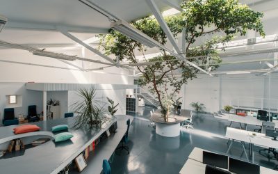 El estudio de arquitectura Arquid transforma una antigua nave industrial de Madrid en sus nuevas oficinas