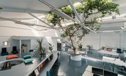 El estudio de arquitectura Arquid transforma una antigua nave industrial de Madrid en sus nuevas oficinas