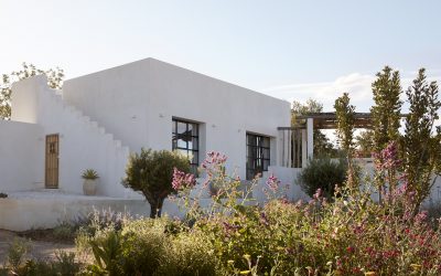 Laboratorio botánico en Náquera del paisajista Javier Coves